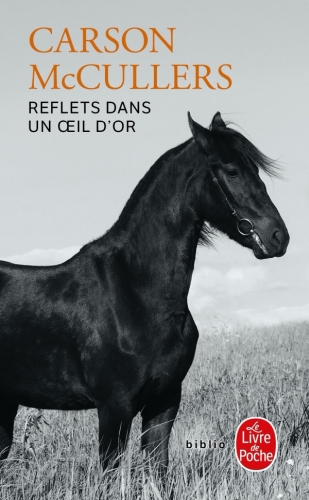  Reflets dans un oeil d'or 
