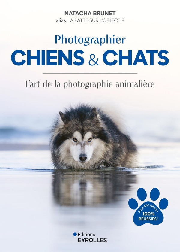  Photographier chiens et chats : l'art de la photographie animalière 