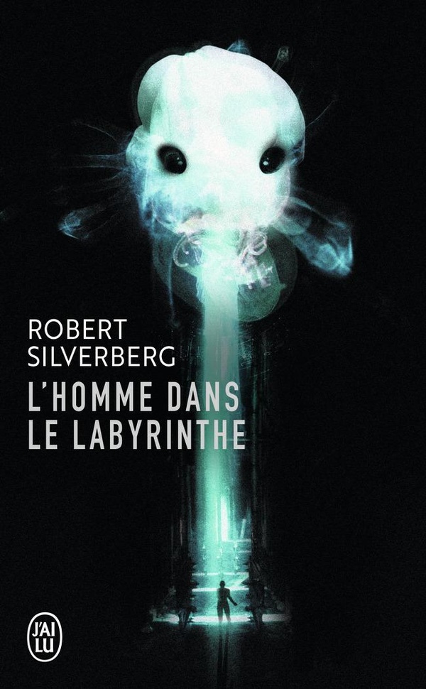  Homme dans le labyrinthe 