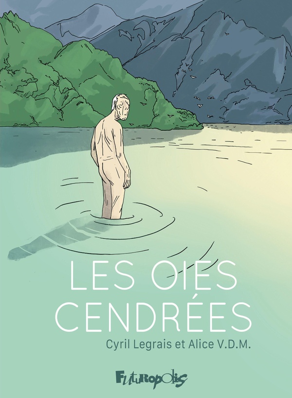  Les oies cendrées 