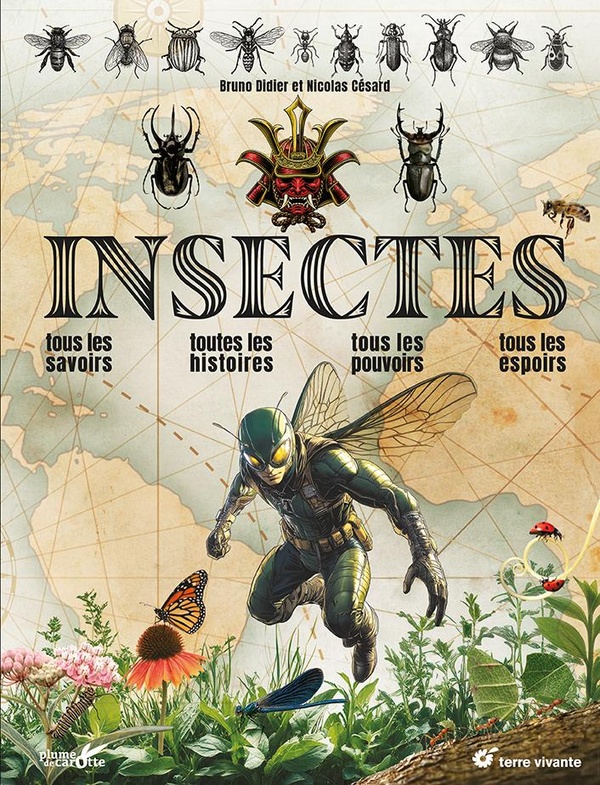  Insectes 