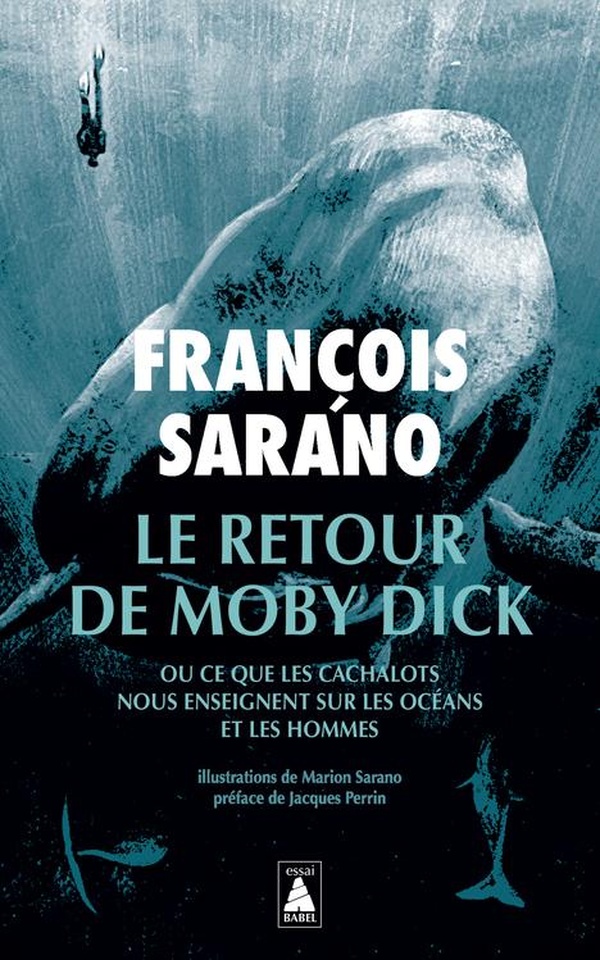  Le retour de Moby Dick 