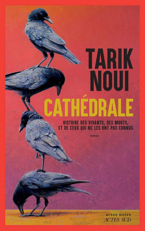  Cathédrale 