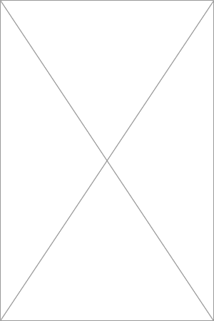  Les Mouches D'Automne 