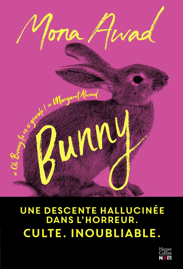  Bunny 