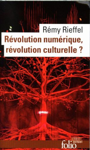  Révolution numérique, révolution culturelle ? 