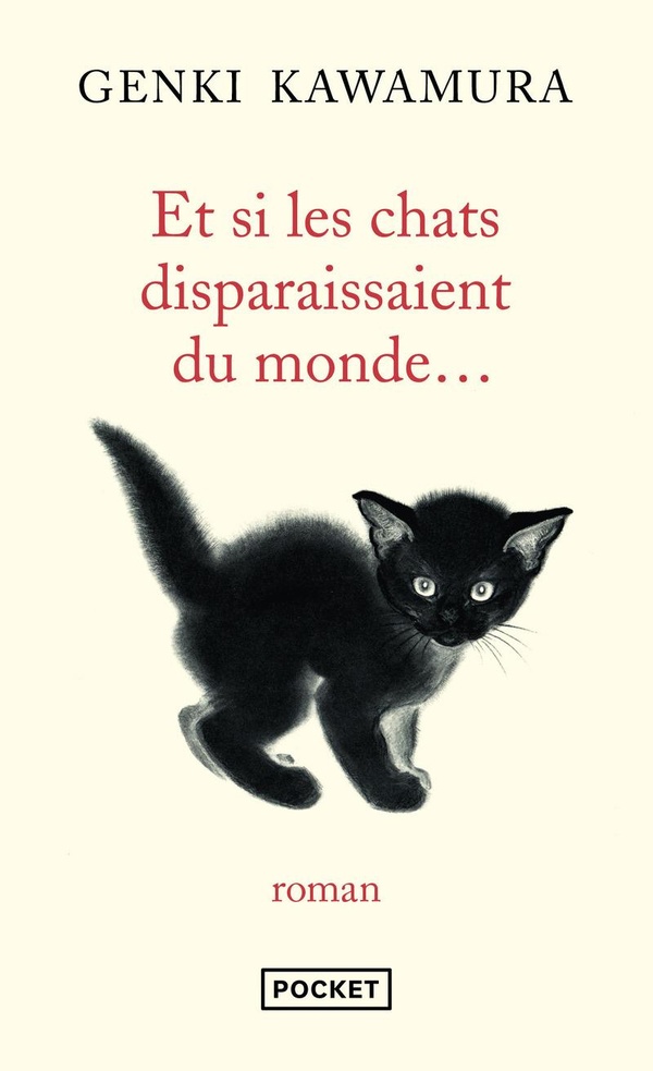  Et si les chats disparaissaient du monde... 