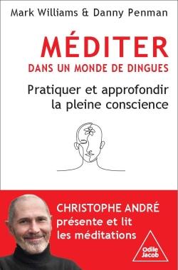  Méditer dans un monde de dingue 