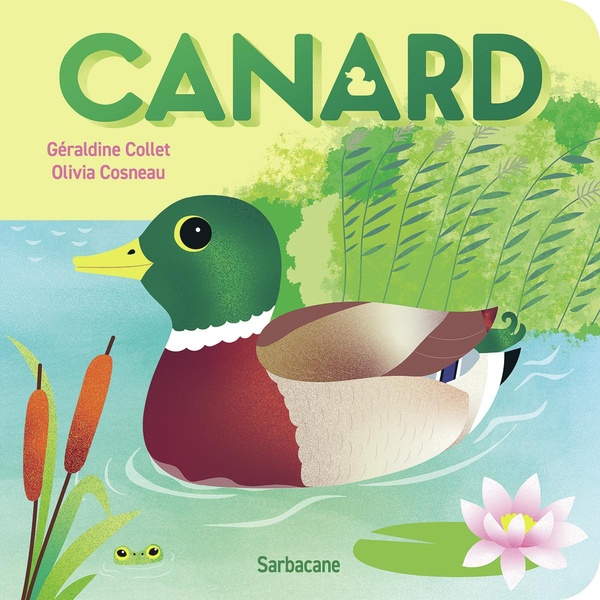  Canard 