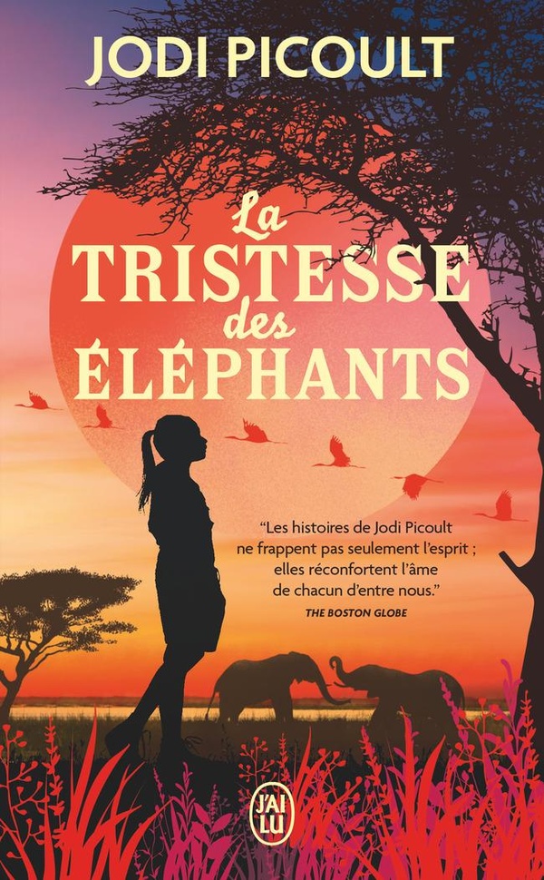  La tristesse des éléphants 