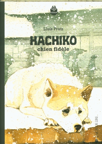  Hachiko : chien fidèle 