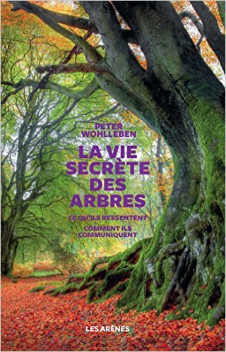  La vie secrète des arbres 