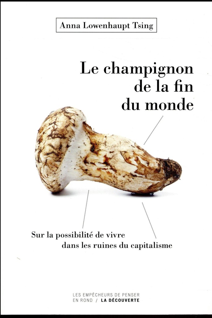  Le champignon de la fin du monde 