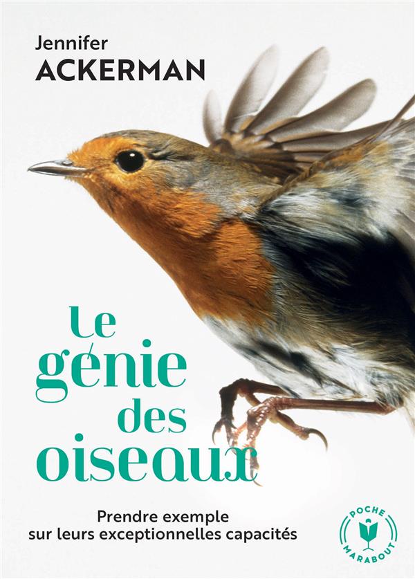  Le génie des oiseaux 