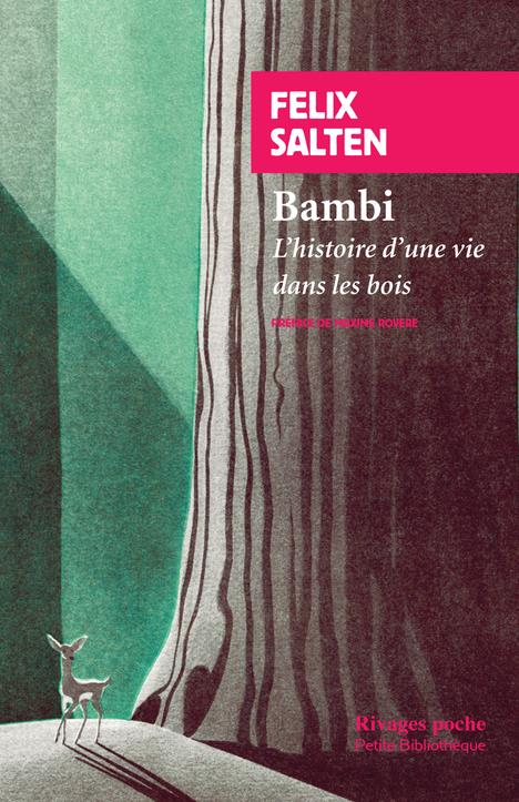  Bambi : l'histoire d'une vie dans les bois 