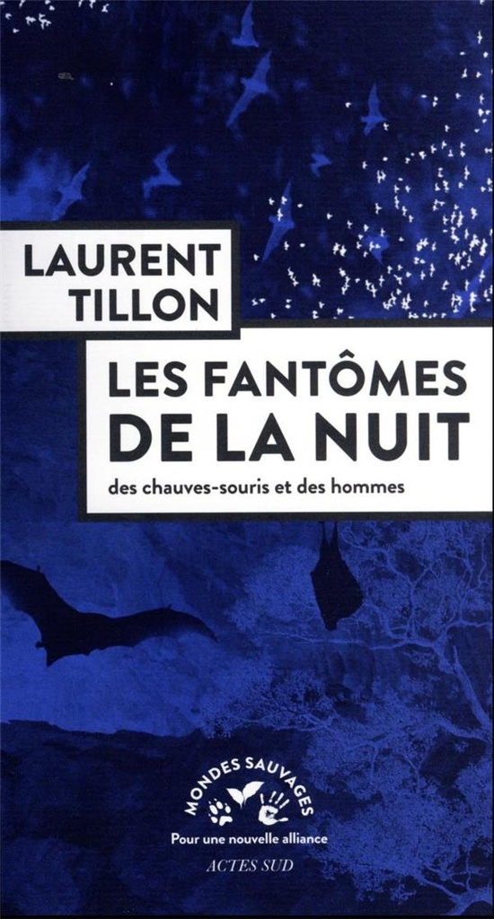  Les fantômes de la nuit : des chauves-souris et des hommes 