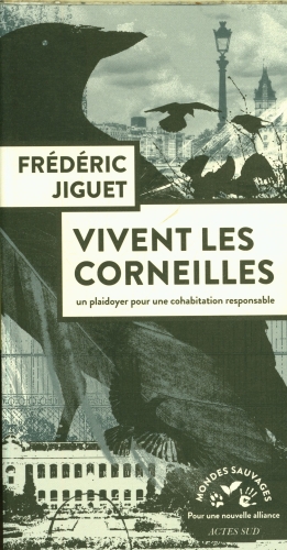  Vivent les corneilles 