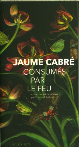  Consumés par le feu 