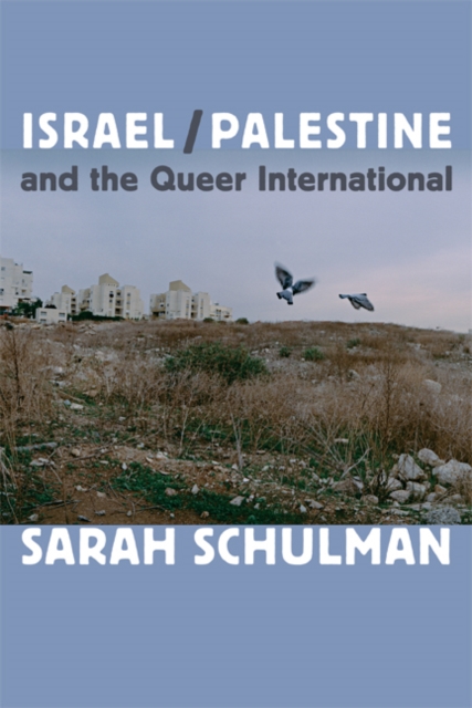  Israel/palestine and the Queer International 