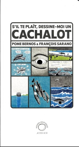 [9703149]  S'il te plaît, dessine-moi un cachalot 
