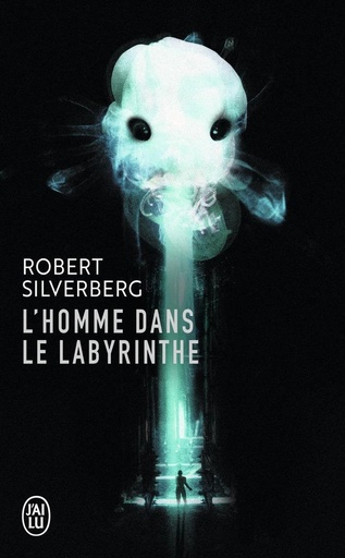 [869936]  Homme dans le labyrinthe 