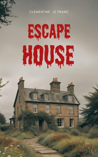 [10274041]  Escape house 