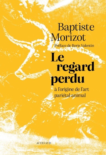 [10218191]  Le regard perdu : à l'origine de l'art pariétal animal 