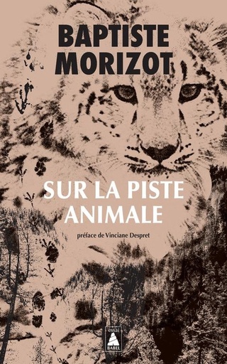 [9185448]  Sur la piste animale 