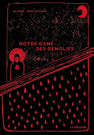 [10257295]  Notre-dame-des-démolies 