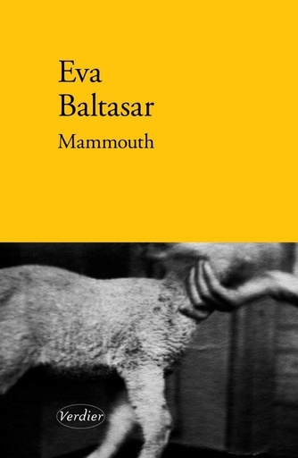 [9944999]  Mammouth 