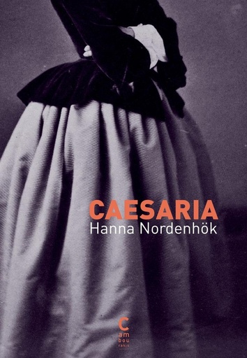 [10467643]  Caesaria 