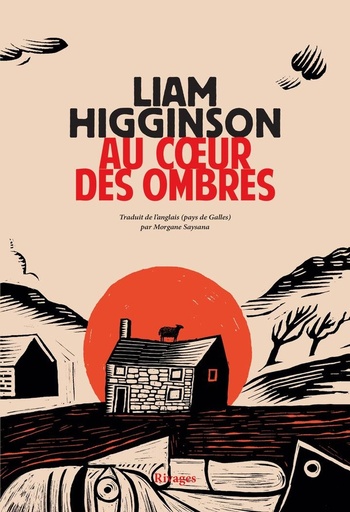 [10454061]  Au coeur des ombres 