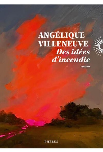 [10473420]  Des idées d'incendie 