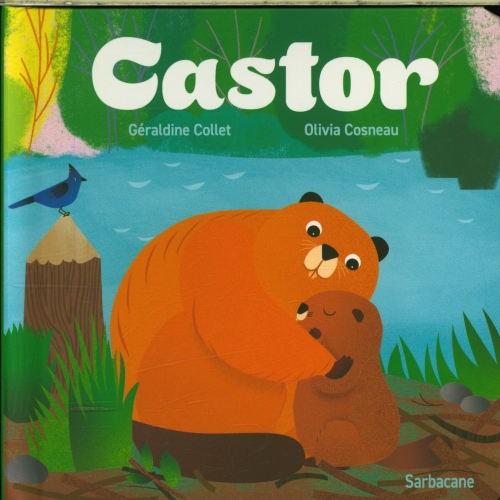 [10200249]  Castor 