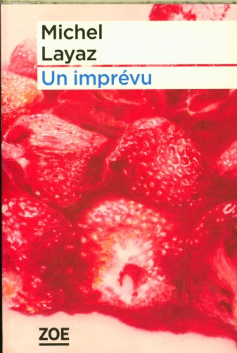 [10570475]  Un imprévu 