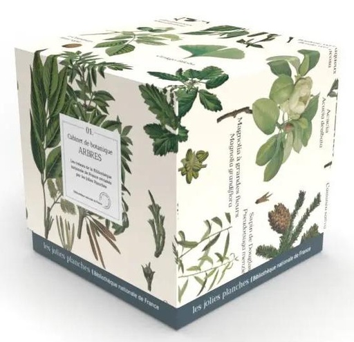[10048411]  Puzzle arbres : 1000 pièces 