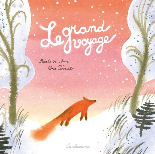 [10473206]  Le grand voyage 