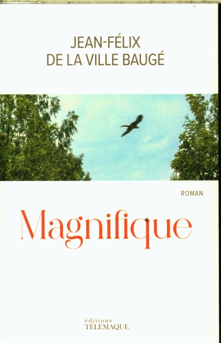 [9751726]  Magnifique 