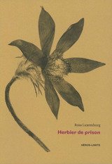 HERBIER ER LE ROSSIGNOL -L'- 1915-1918