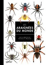 ARAIGNEES DU MONDE