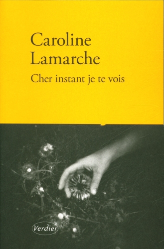 [9859206]  Cher instant je te vois : récit 