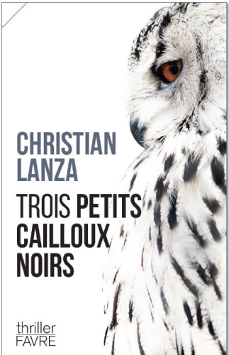 [9873564]  Trois petits cailloux noirs 