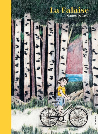 [9209247]  La falaise 