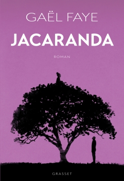 [9963004]  Jacaranda 